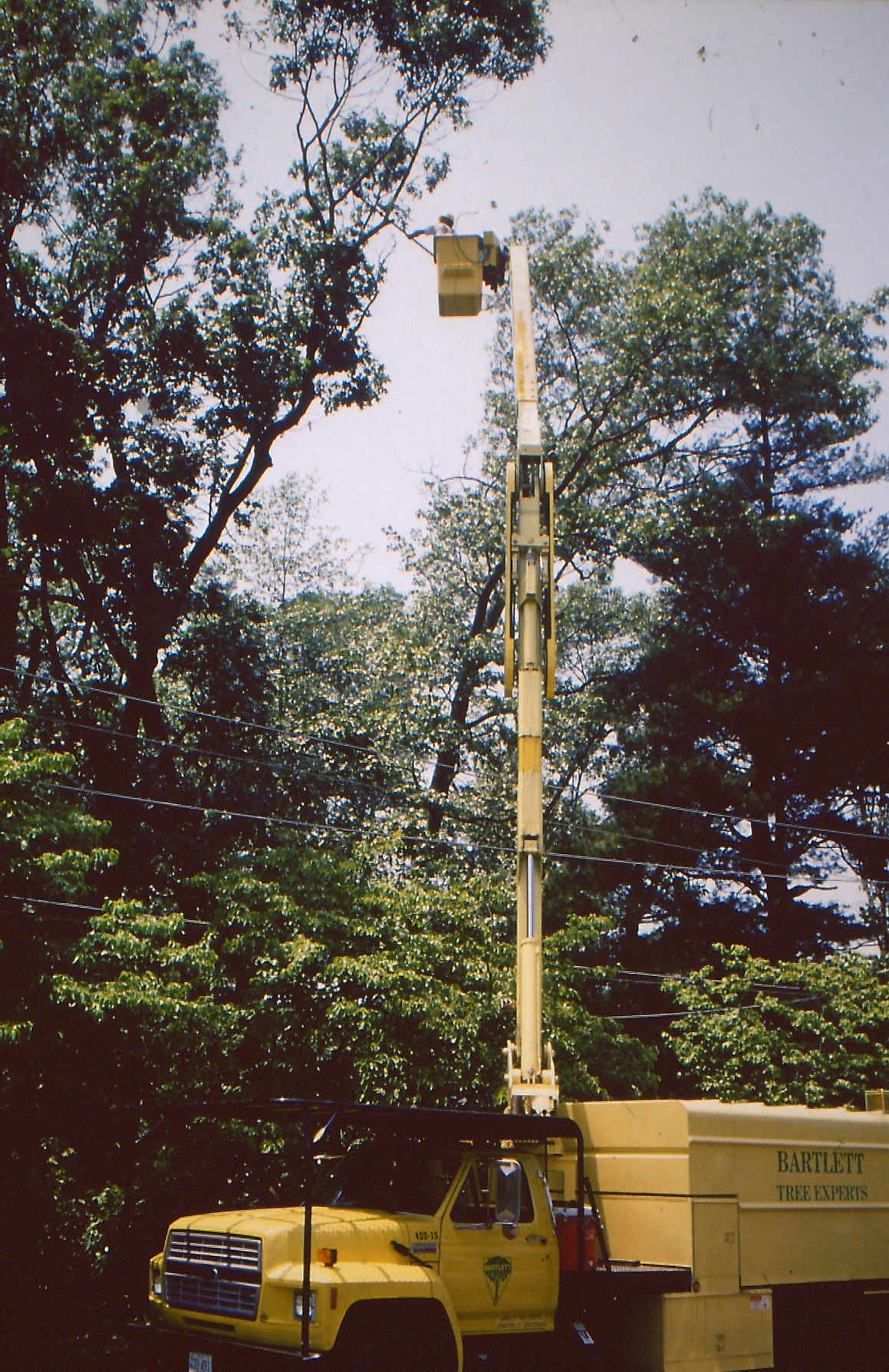 Windstorm of 1993